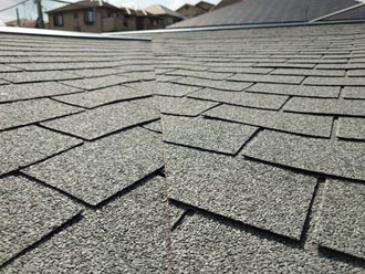 緑青のロアーニⅡ