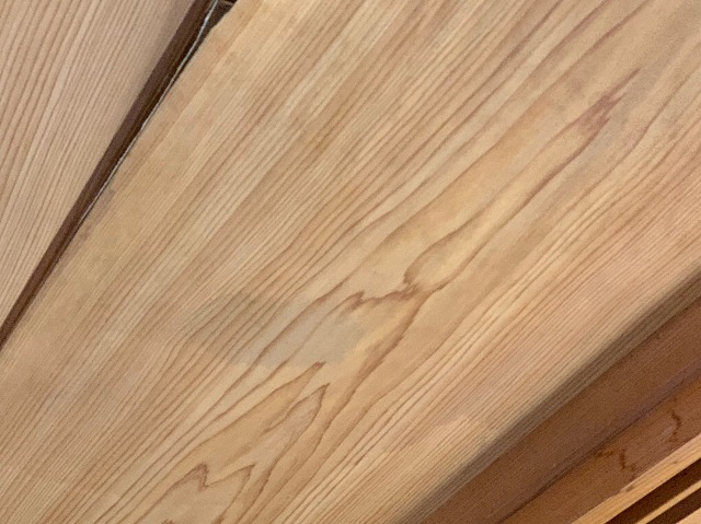 天井雨跡（近景）