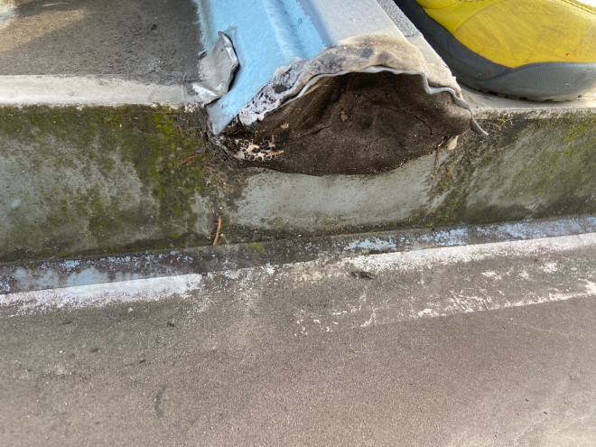 さいたま市見沼区　元