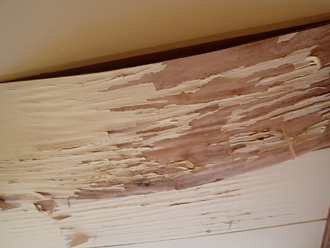 横浜市港北区下田町にて瓦屋根からの雨漏りの原因を調査しました