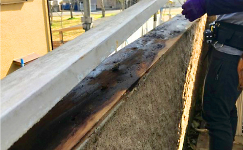 世田谷区で笠木の雨漏り危険ポイントをご紹介！