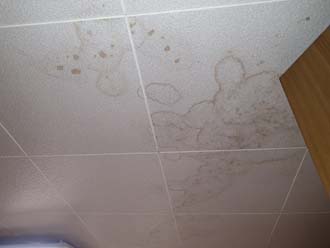 雨漏りによってできた天井の染み