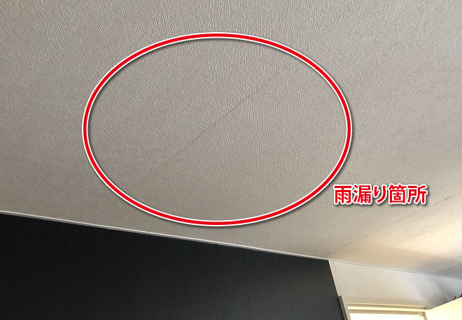 雨漏り箇所