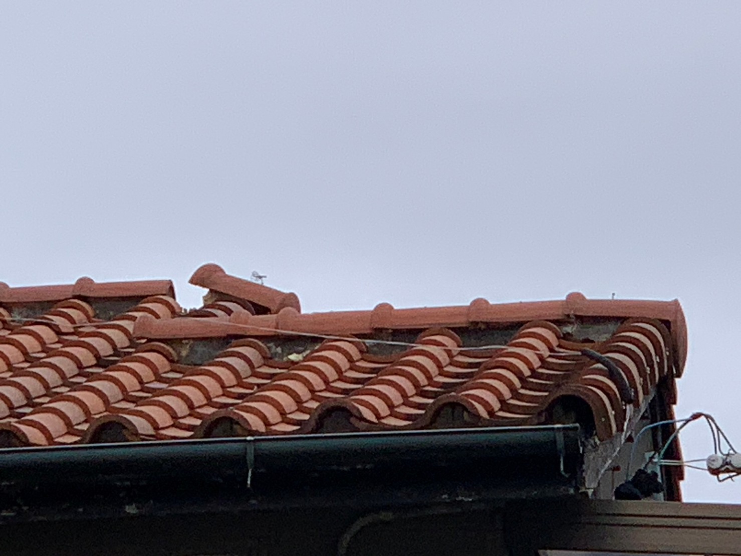 名古屋市守山区で屋根のてっぺんの瓦が傾いて落ちそうになっていました