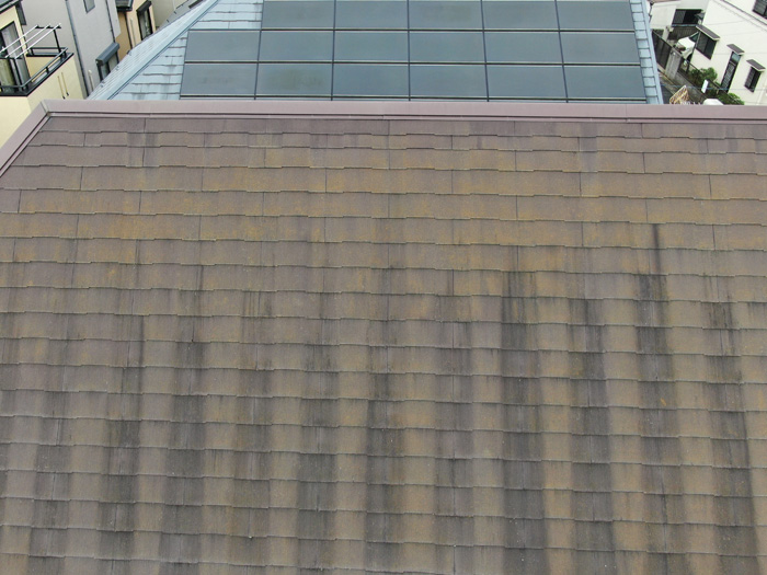 屋根のスレートに苔が生えている