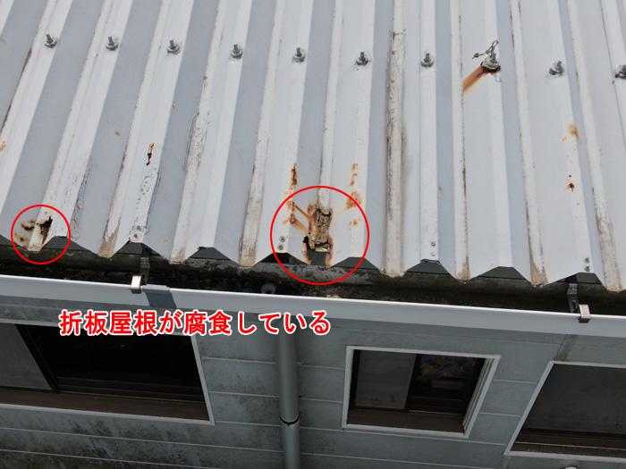 工場の折板屋根からの雨漏りトラブルと修理の重要性