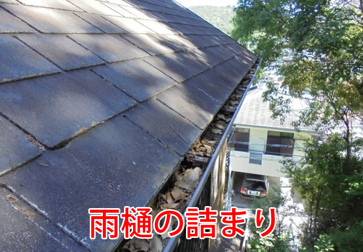 雨樋の詰まり