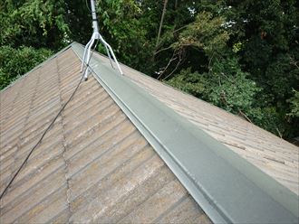 南側の面に苔が発生したセメント瓦