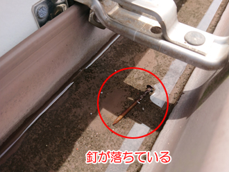 雨樋に釘が落ちている
