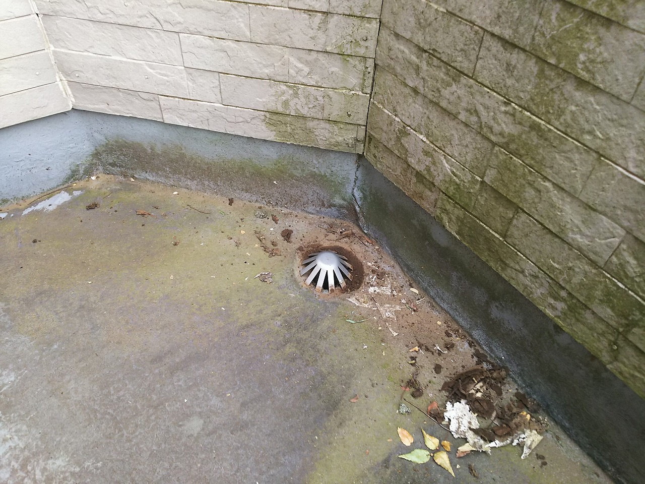 排水口の詰まり