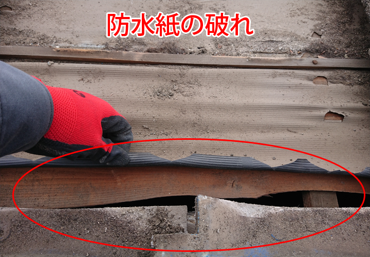 防水紙の破れ