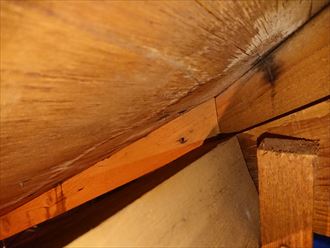 雨漏りの発生している屋根裏