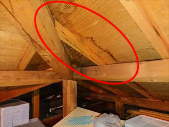 雨染みの見られる屋根裏