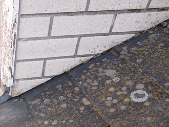 スレートに苔が生えている