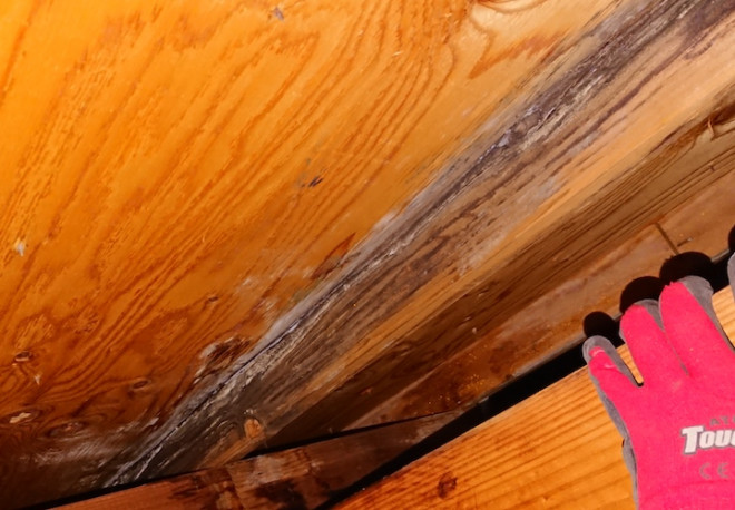 雨漏りで木材が劣化している