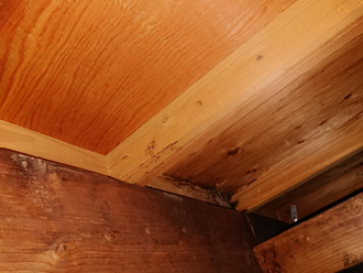 小屋裏で雨漏りしている箇所が黒ずんでいる