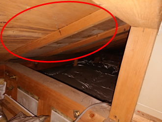 野地板の雨染み