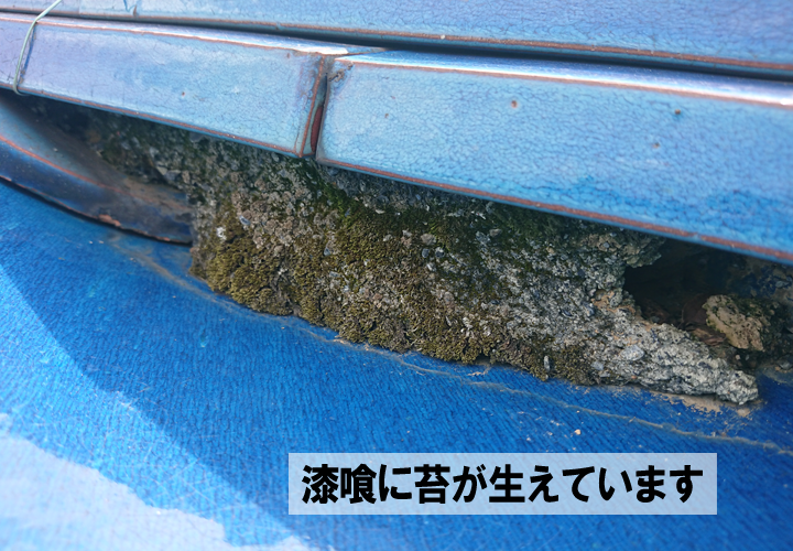 漆喰に苔が生えてしまっています