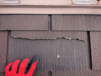 台風で破損したスペリアルネオ