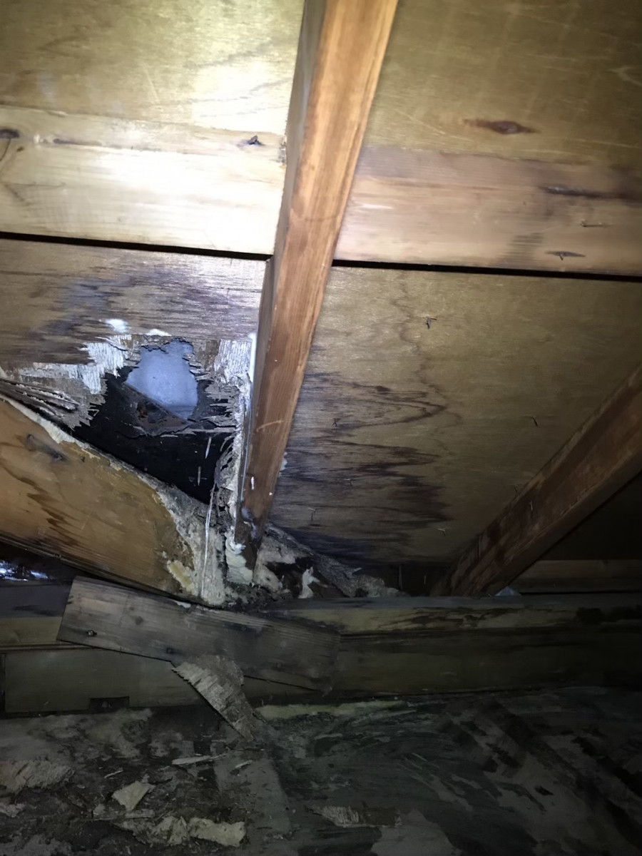 守山区の屋根下地穴あき