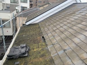 雨漏りを起こしている部分の屋根にはアスファルトシングルが使用されておりふやけていました