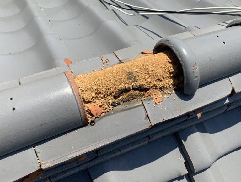 棟瓦が外れ下地が露出状態に