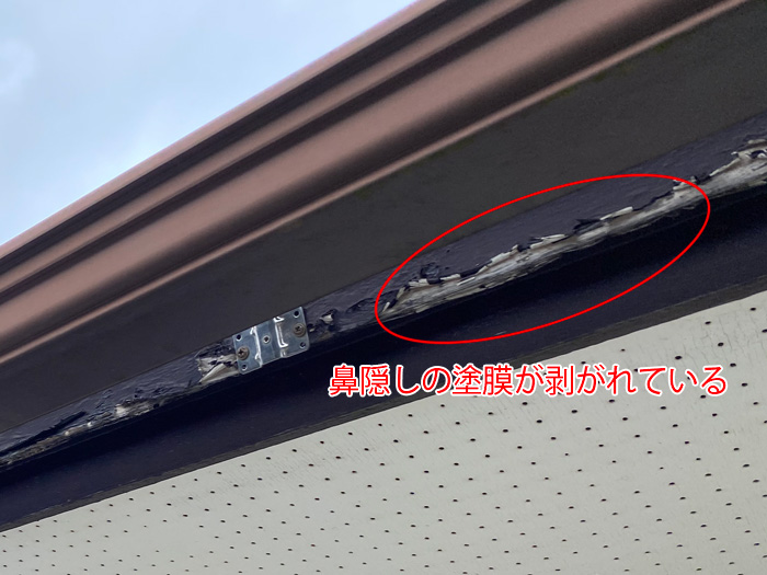 鼻隠しの塗膜が剥がれている