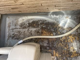 防水層の剥がれ