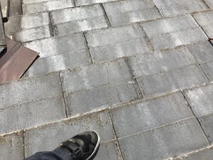 苔などで変色したセメント瓦