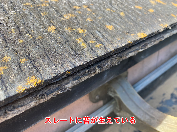 スレート屋根に苔が発生！放置すると危険です
