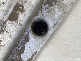 ベランダ排水確認