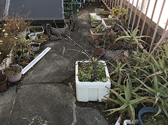 バルコニー点検時の様