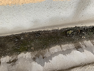 苔が生えた取り合い