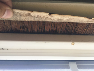 窓枠周辺のクロスが剥がれている