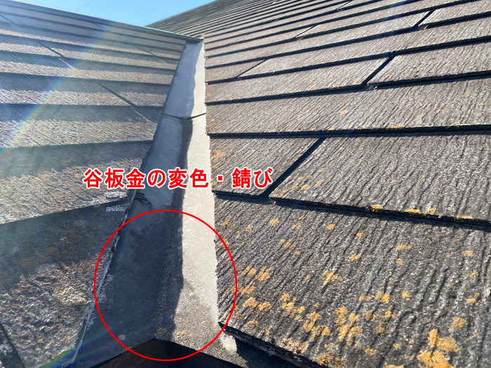 【漫画】雨漏りを未然に防ぐ！屋根点検の重要性と修理のポイント