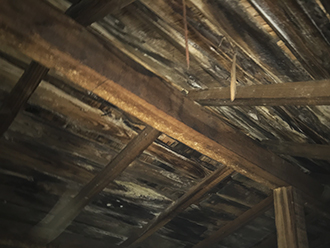屋根裏の調査