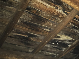 雨漏りしている野地板