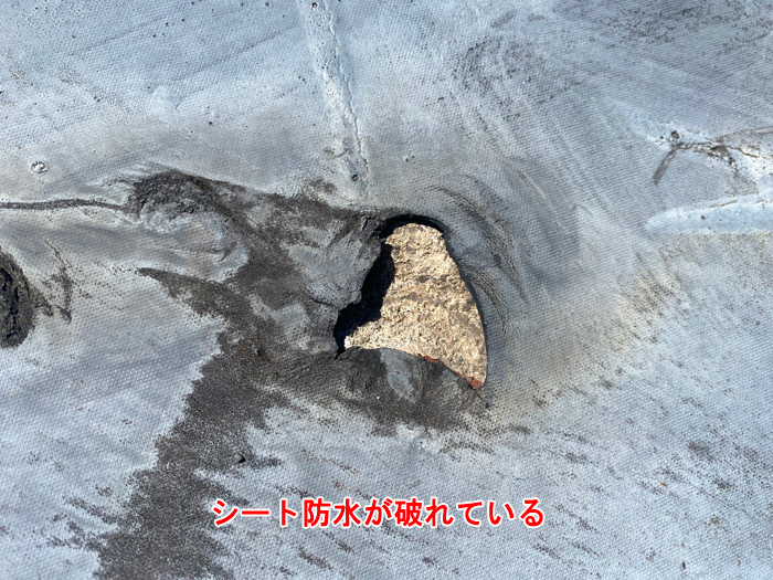 雨漏りの原因はシート防水の破れ！白井市根での事例と修理方法を解説