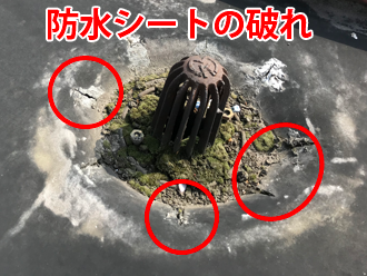 排水溝付近の防水シートの破れ