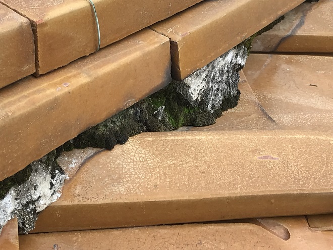 苔の生えた漆喰