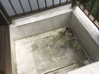 苔やカビが生えたバルコニー床