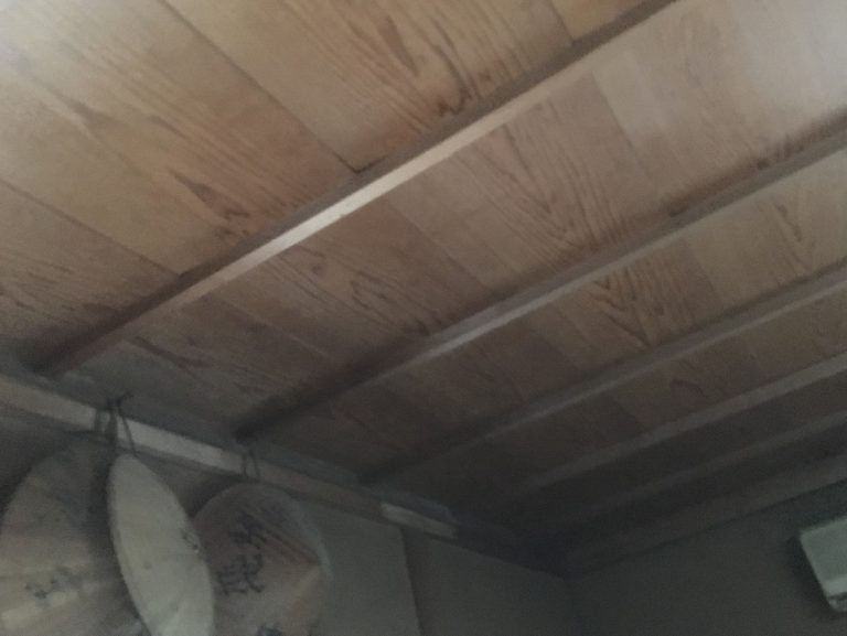 天井の雨漏り発生個所