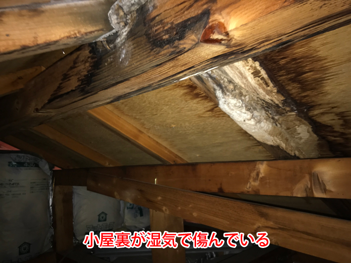 小屋裏を確認すると湿気で木材が黒く変色