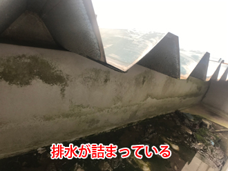 排水が詰まっている