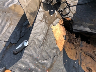 野地板腐食部分