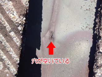 板金に穴が空いて雨漏りしている