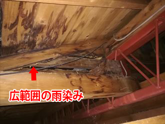 雨染みの見られる天井裏