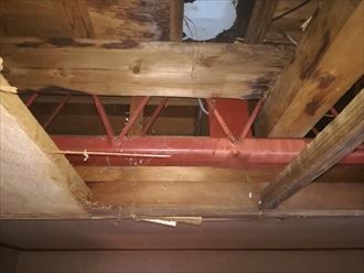 長年雨水が浸入していた屋根裏