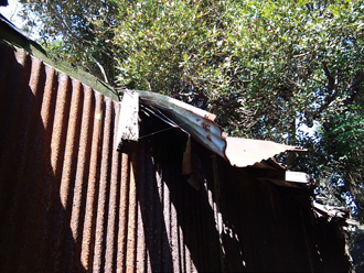 波板が剥がれている