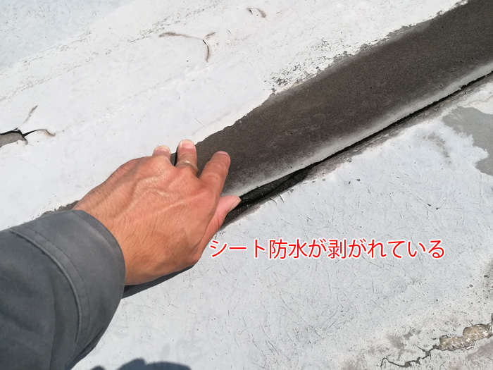 町田市下小山田町で工場倉庫の陸屋根で発生した雨漏りの調査